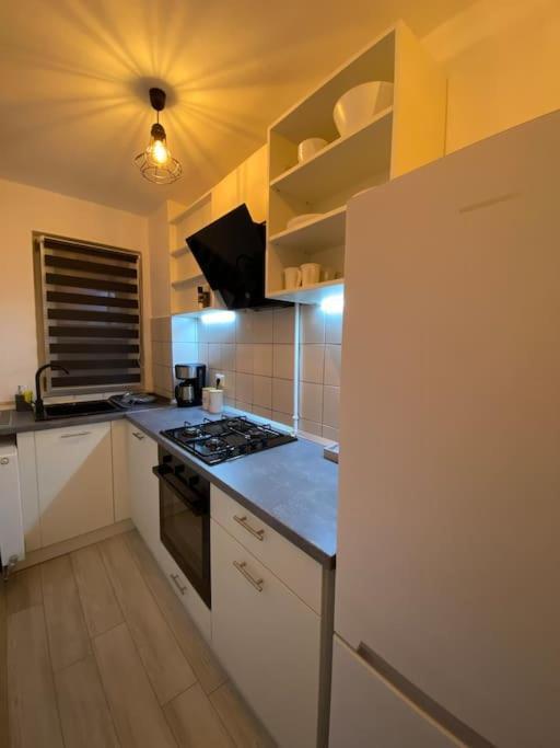 Black& White Apartment Braşov Exterior foto
